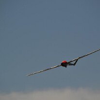 DSC_0507