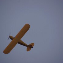 DSC05199