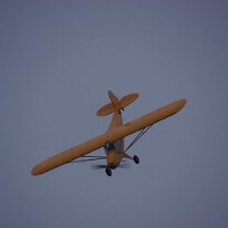 DSC05203
