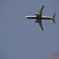 DSC_0264