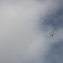 IMG_9786