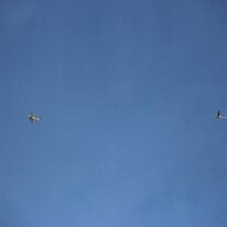 IMG_9788